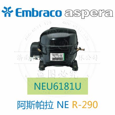 NEU6181U